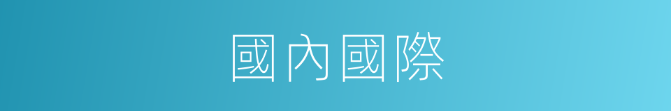國內國際的同義詞