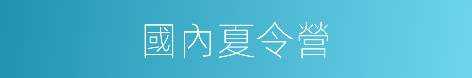 國內夏令營的同義詞