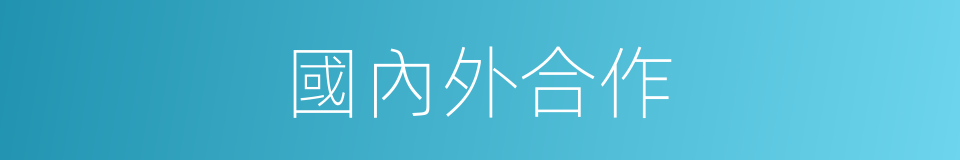 國內外合作的同義詞