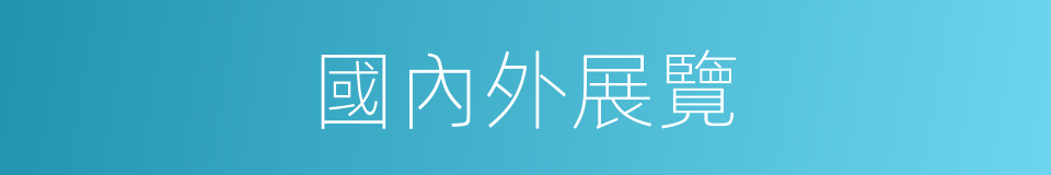 國內外展覽的同義詞