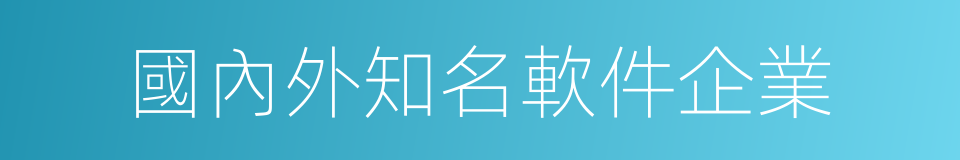國內外知名軟件企業的同義詞