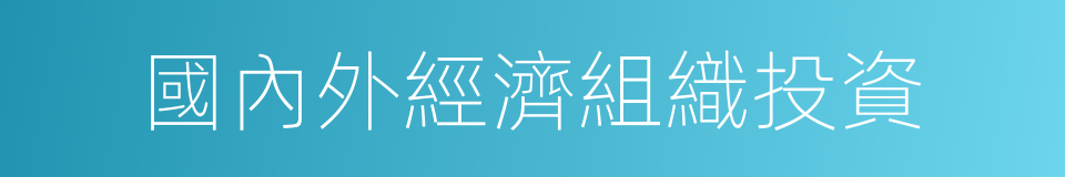 國內外經濟組織投資的同義詞