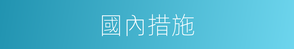 國內措施的同義詞