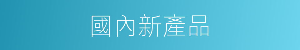 國內新產品的同義詞