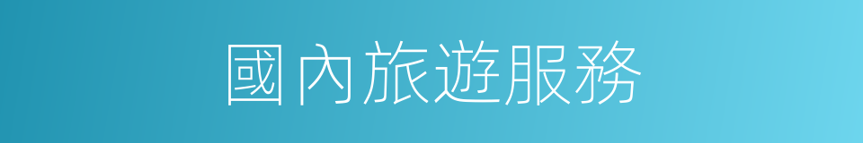 國內旅遊服務的同義詞
