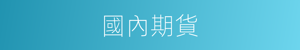 國內期貨的同義詞