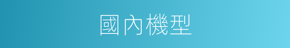 國內機型的同義詞