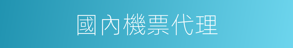 國內機票代理的同義詞