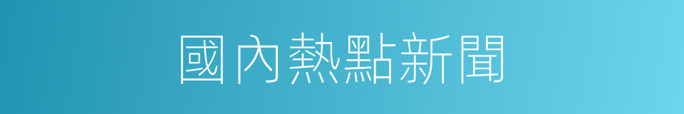 國內熱點新聞的同義詞
