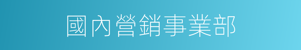 國內營銷事業部的同義詞