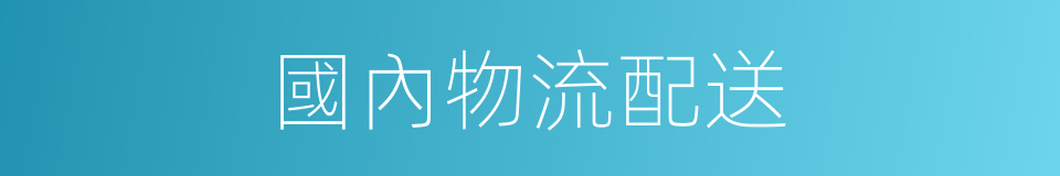 國內物流配送的同義詞