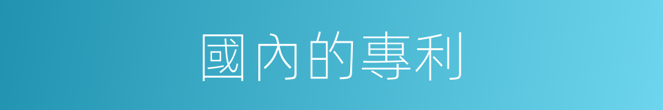 國內的專利的同義詞