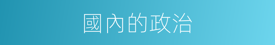 國內的政治的同義詞