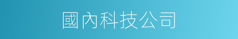 國內科技公司的同義詞