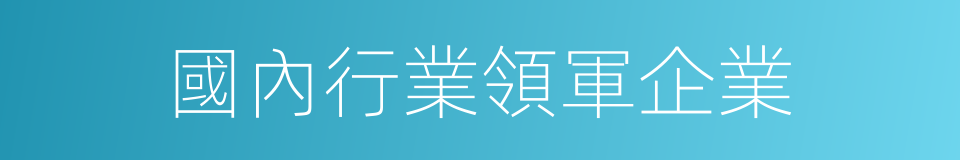 國內行業領軍企業的同義詞