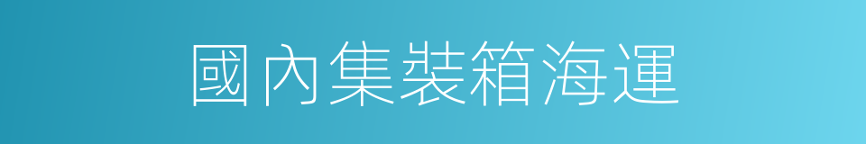 國內集裝箱海運的同義詞