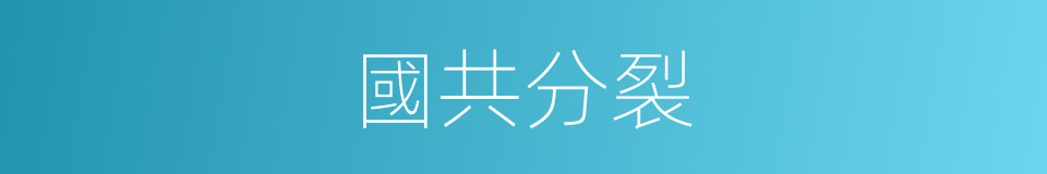 國共分裂的同義詞