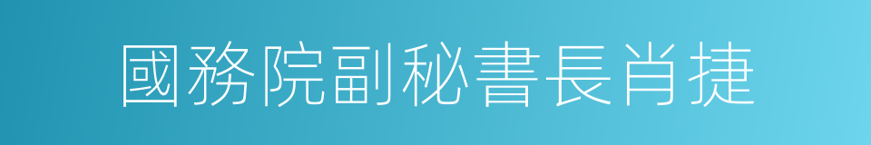 國務院副秘書長肖捷的同義詞