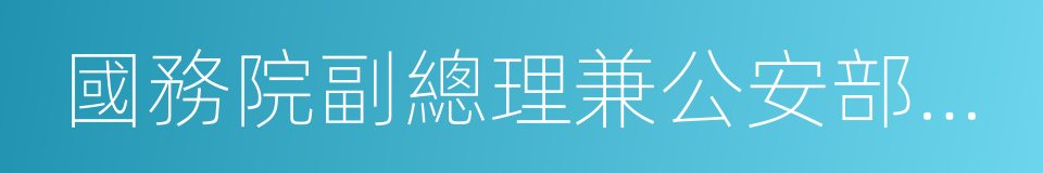 國務院副總理兼公安部部長的同義詞