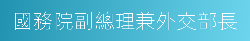 國務院副總理兼外交部長的同義詞