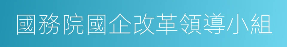 國務院國企改革領導小組的同義詞