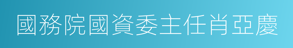 國務院國資委主任肖亞慶的同義詞