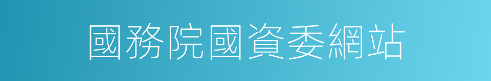 國務院國資委網站的同義詞