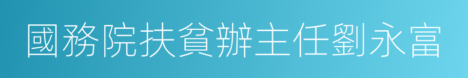 國務院扶貧辦主任劉永富的同義詞