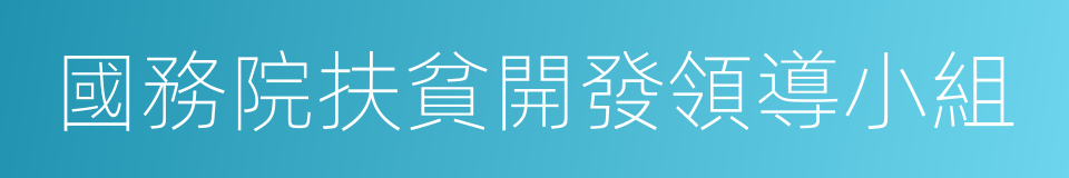 國務院扶貧開發領導小組的同義詞