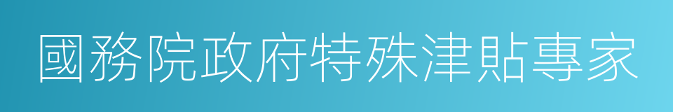 國務院政府特殊津貼專家的同義詞