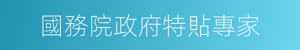 國務院政府特貼專家的同義詞