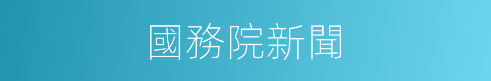 國務院新聞的同義詞