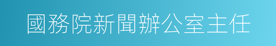 國務院新聞辦公室主任的同義詞