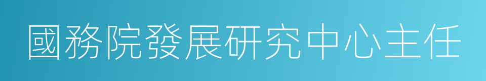 國務院發展研究中心主任的同義詞