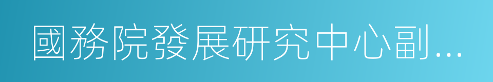 國務院發展研究中心副主任的同義詞