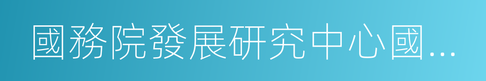 國務院發展研究中心國際技術經濟研究所的同義詞