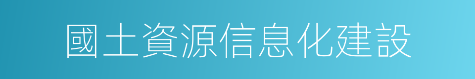 國土資源信息化建設的同義詞