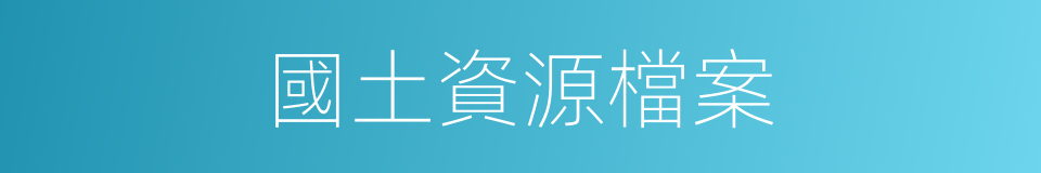 國土資源檔案的同義詞