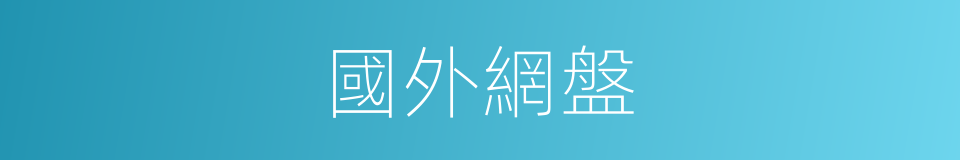 國外網盤的同義詞