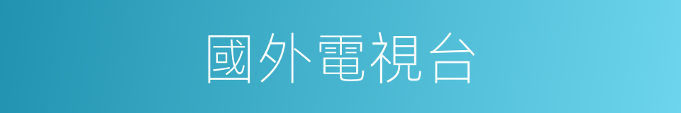 國外電視台的同義詞