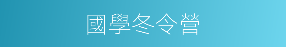 國學冬令營的同義詞