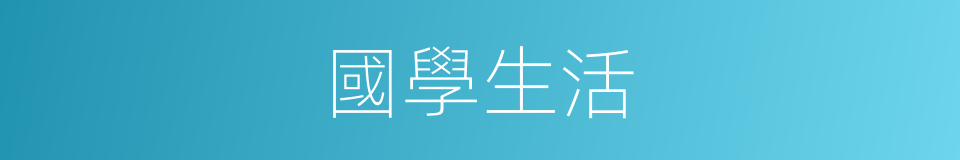 國學生活的同義詞