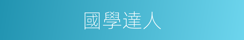 國學達人的同義詞