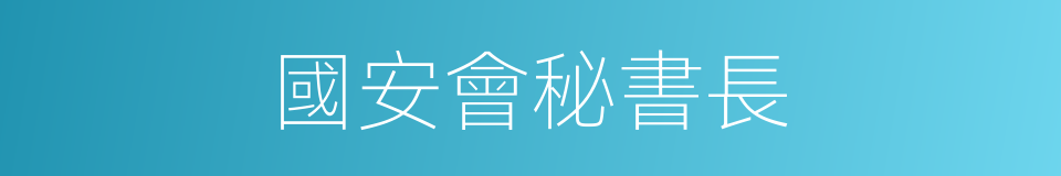 國安會秘書長的同義詞