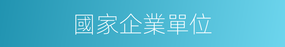 國家企業單位的同義詞