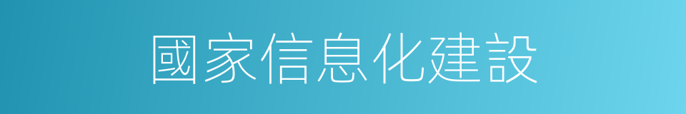 國家信息化建設的同義詞