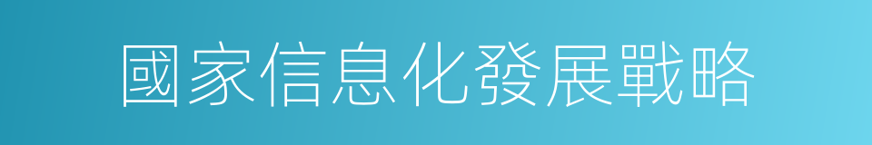 國家信息化發展戰略的同義詞