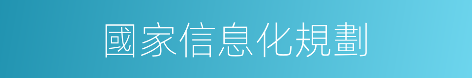 國家信息化規劃的同義詞