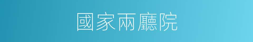 國家兩廳院的同義詞