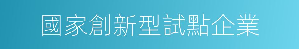 國家創新型試點企業的同義詞